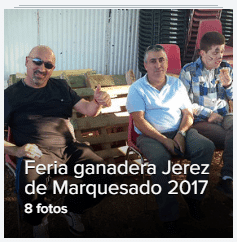 Galería Imágenes Feria Ganadera