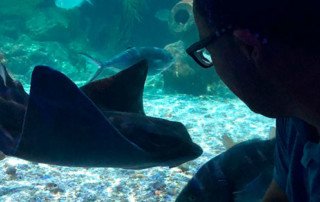 Vacaciones en Torremolinos