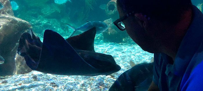 Vacaciones en Torremolinos