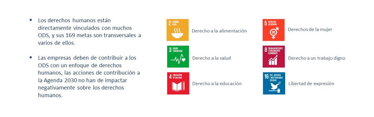 Principios rectores y Derechos Humanos y los ODS