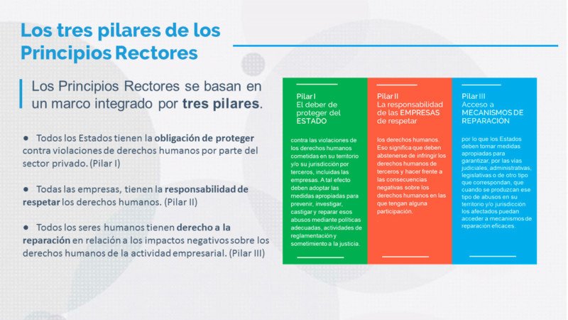 Pilares de los principios rectores y Derechos Humanos