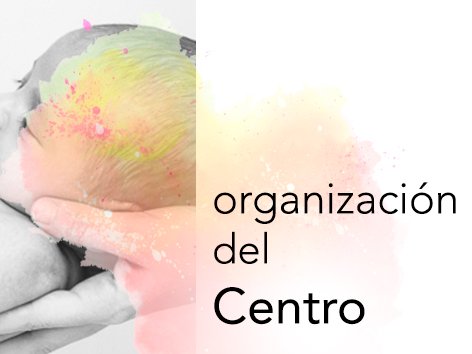 acceso a Organización del Centro
